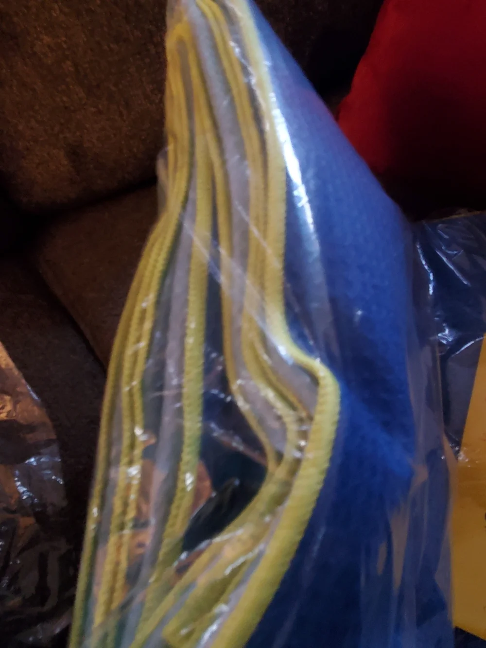 Women's Blue Belt with Gold-Tone Floral Buckle